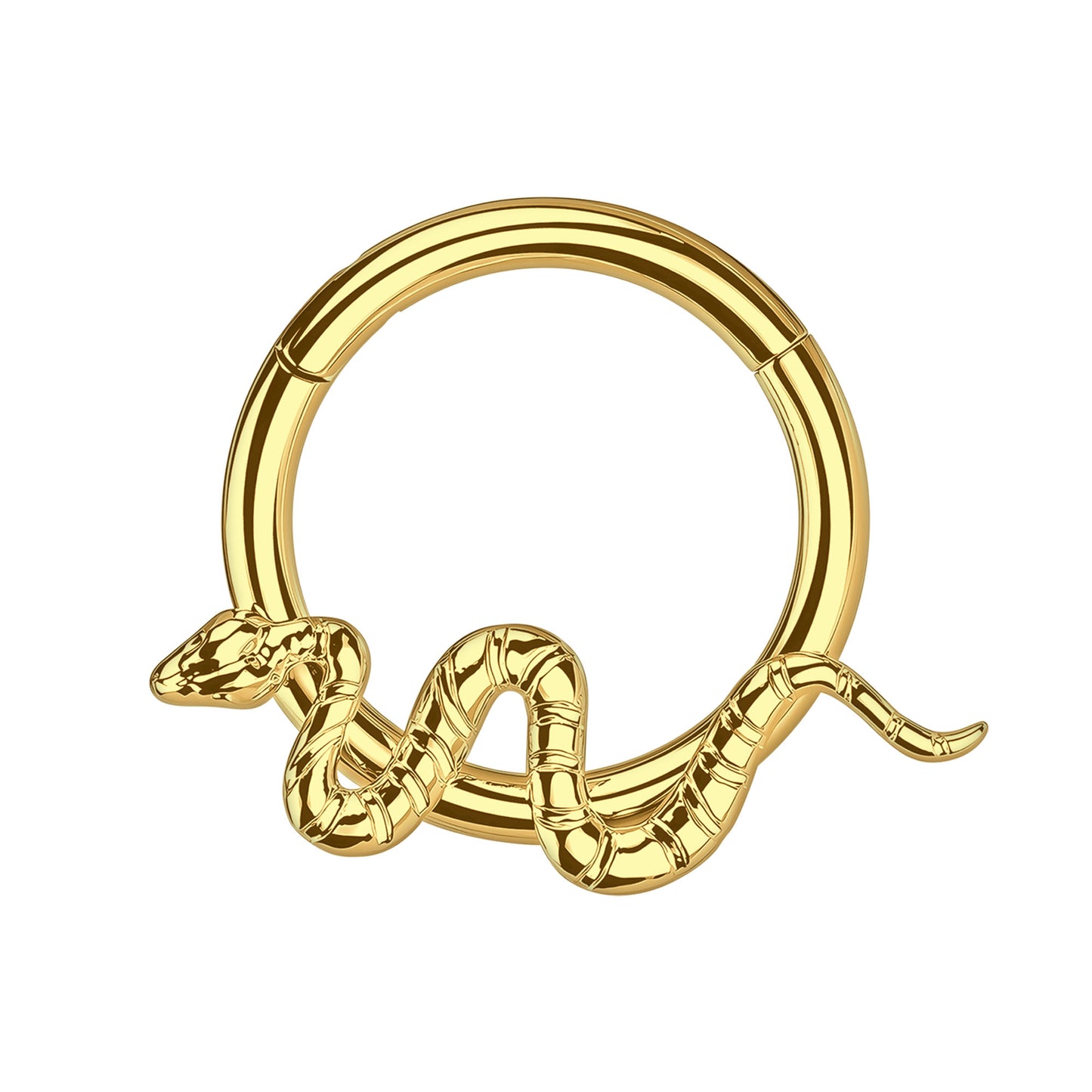 Titanium Clicker Ring with Twisted Snake