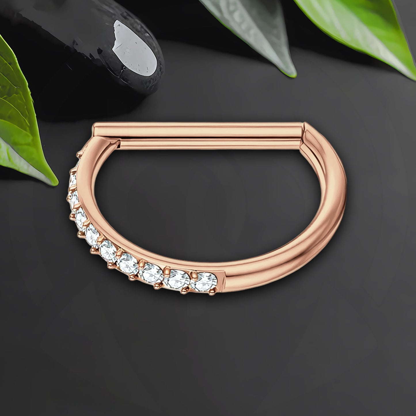 Titanium Clicker Ring in D Shape Style and Half Side CZ
