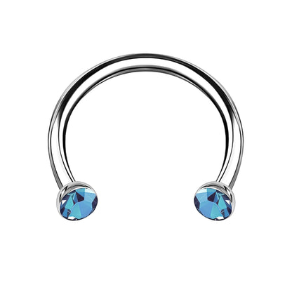 Titanium Horseshoe Ring with Light Blue Crystals
