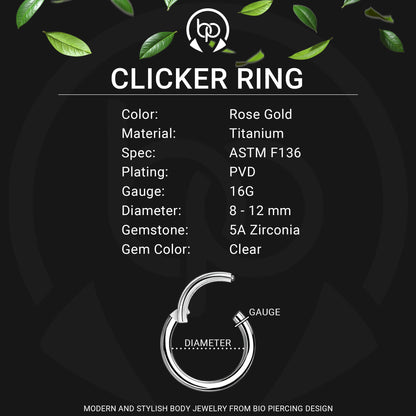 Titanium Clicker Ring in D Shape Style and Half Side CZ